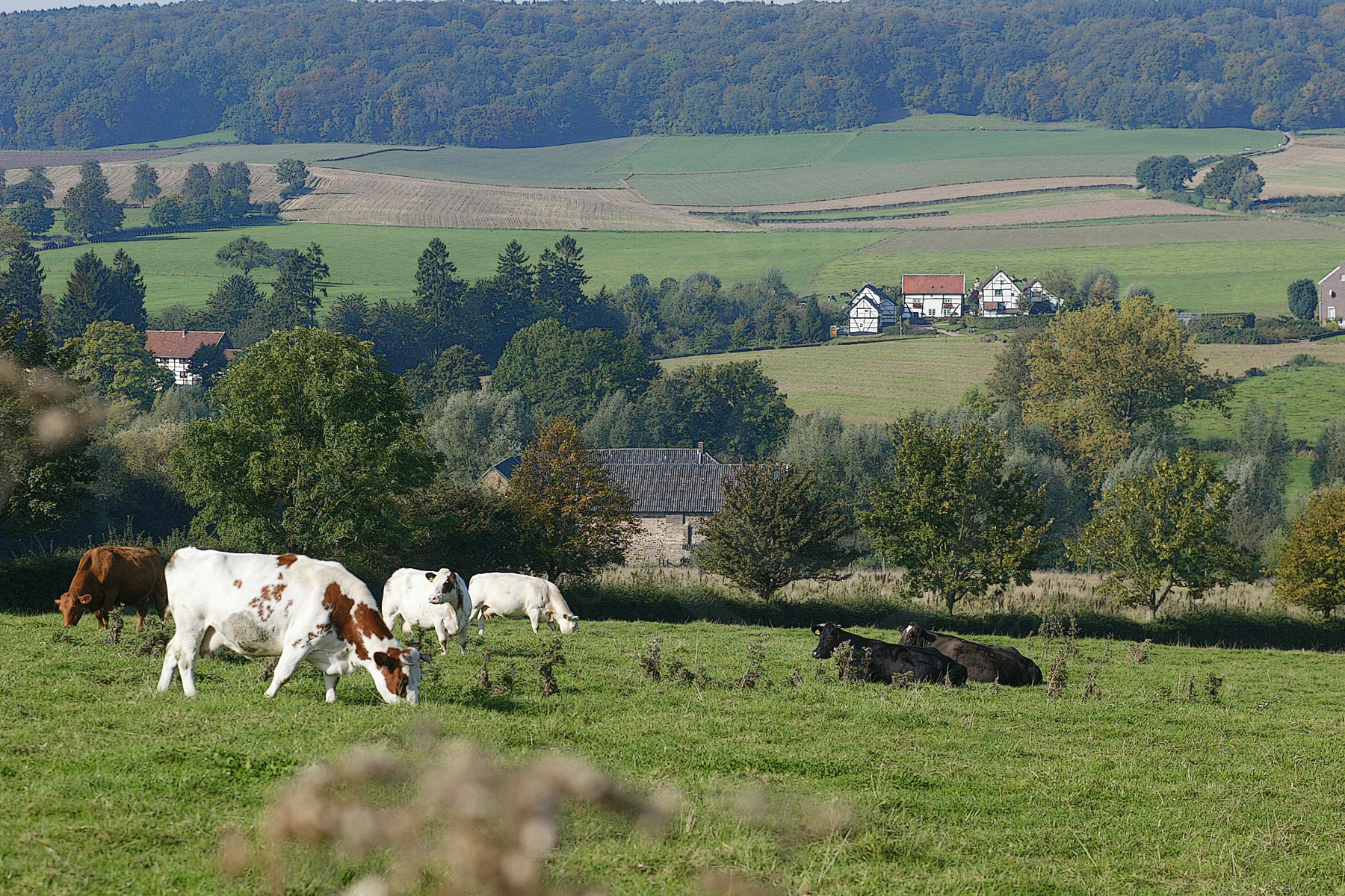 fotografie Zuid Limburg