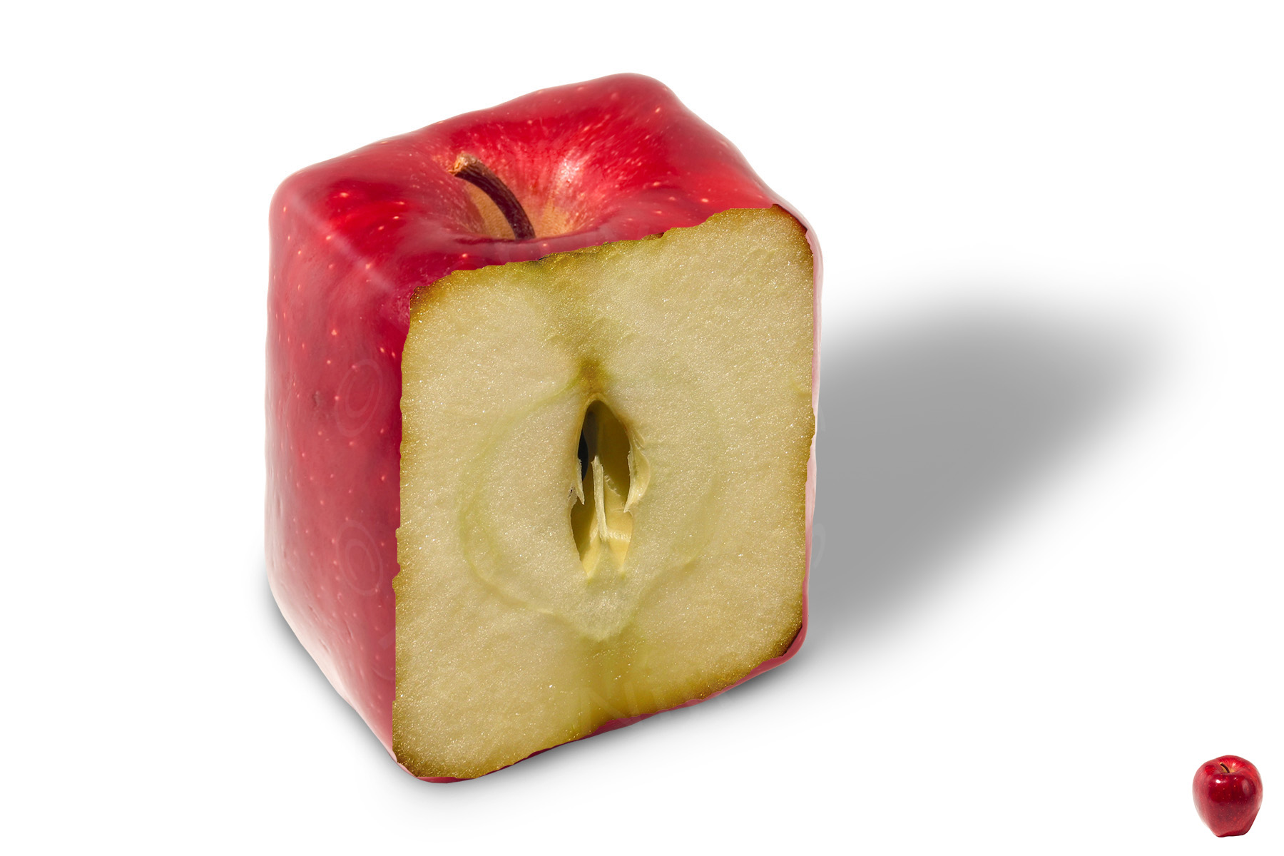 beeldmanipulatie