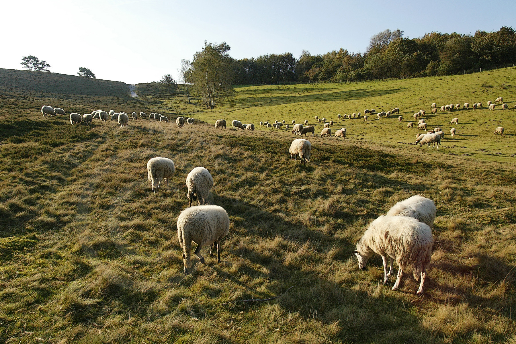 fotografie Zuid Limburg