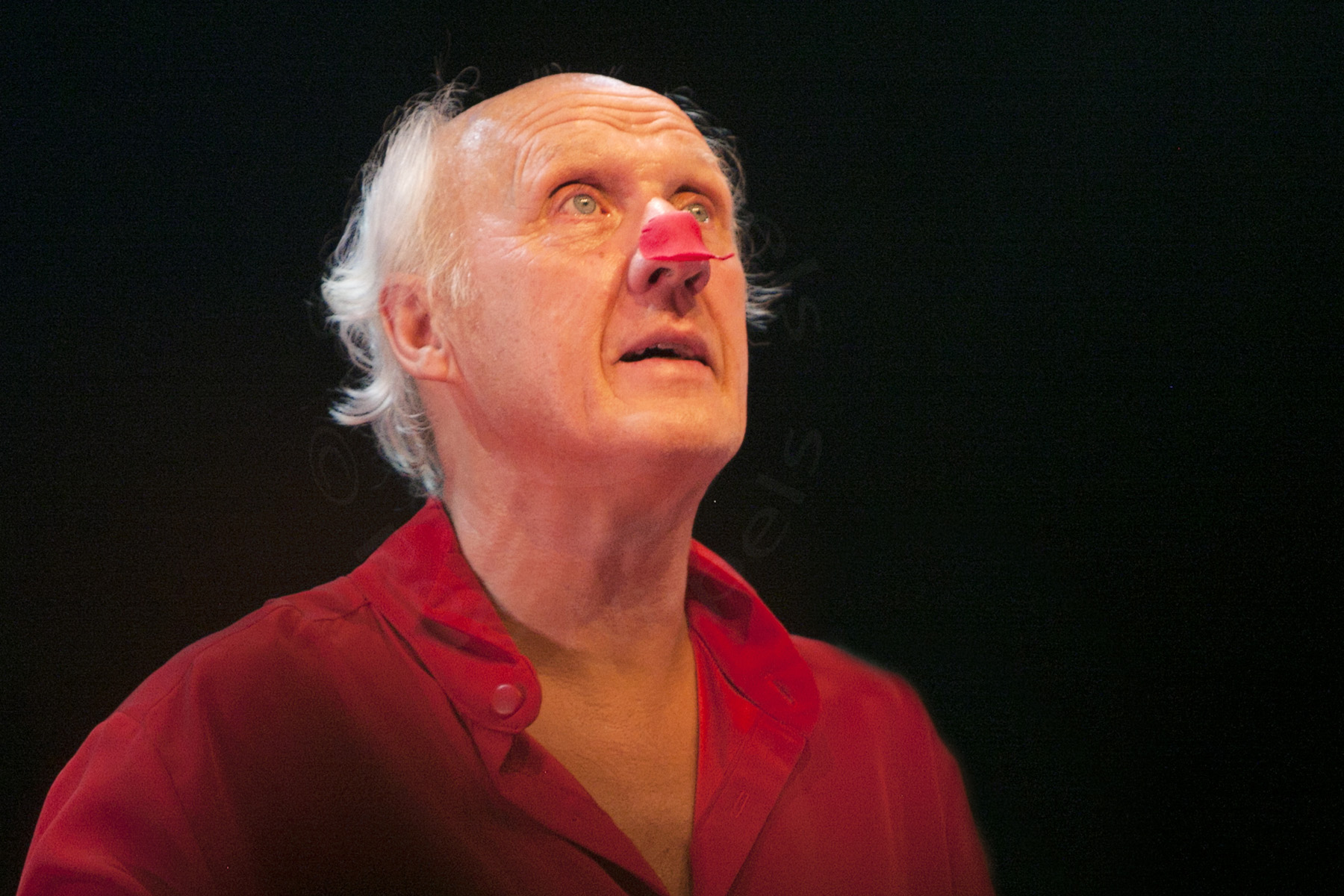 Herman van Veen